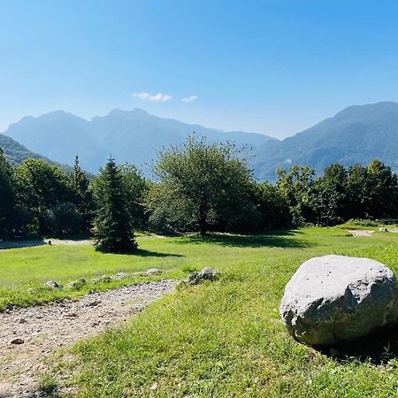 Agriturismo La Selvaggia 曼代洛-德尔拉里奥 外观 照片