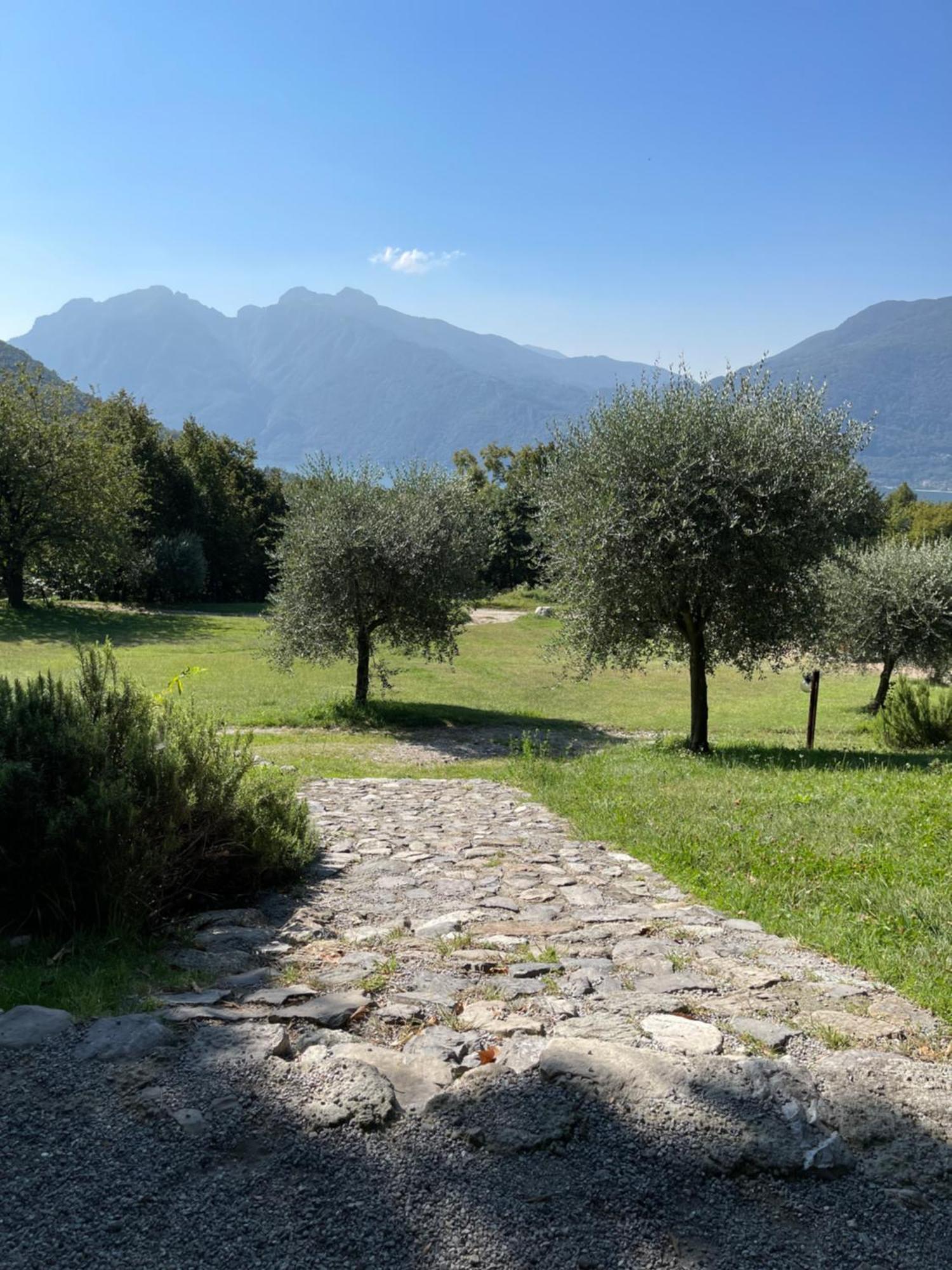 Agriturismo La Selvaggia 曼代洛-德尔拉里奥 外观 照片