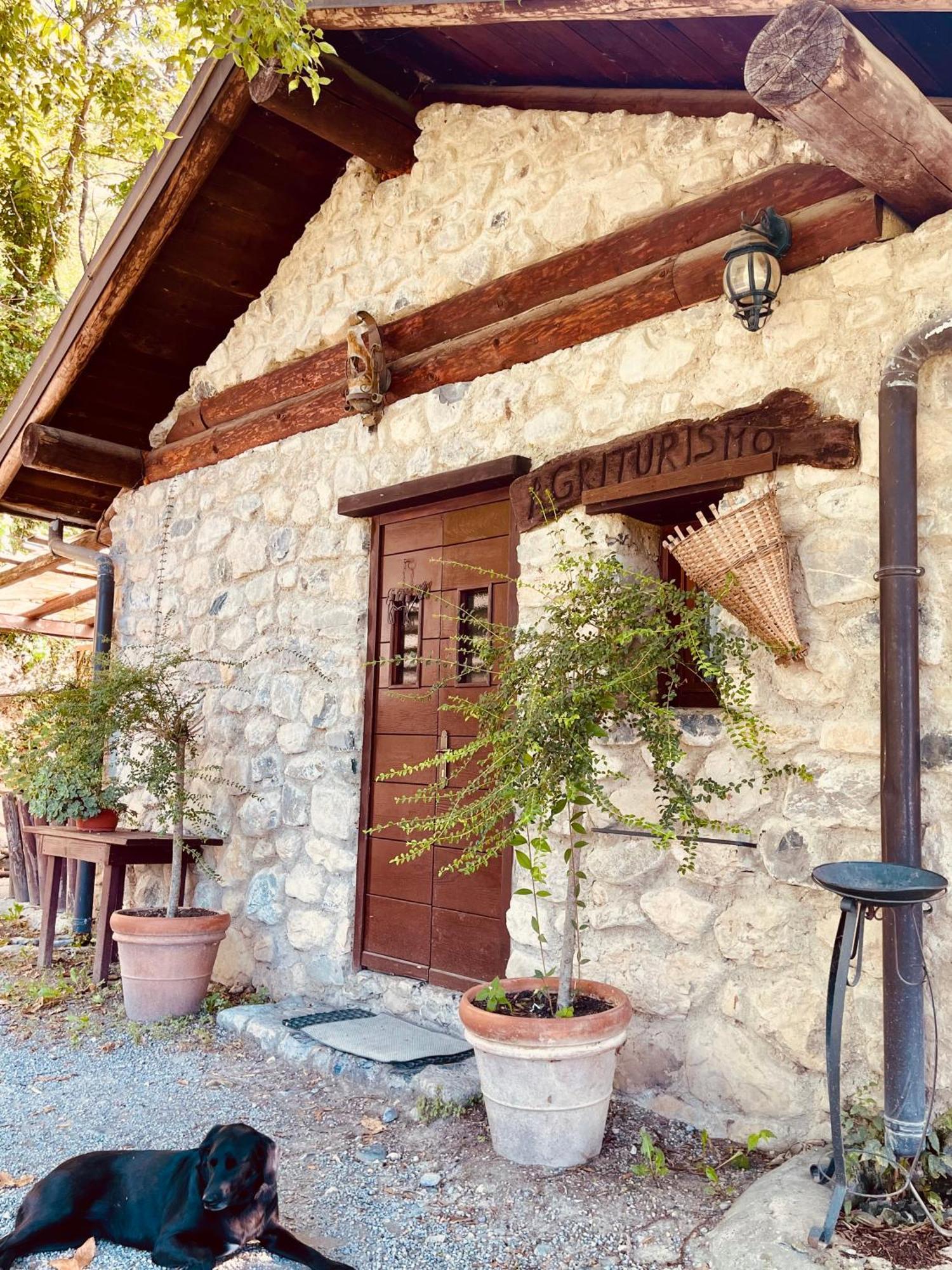 Agriturismo La Selvaggia 曼代洛-德尔拉里奥 外观 照片