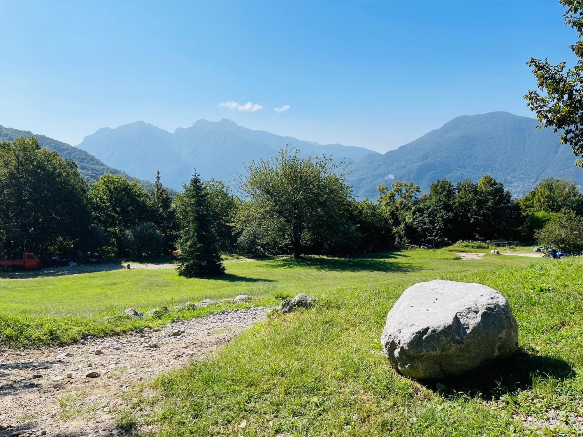 Agriturismo La Selvaggia 曼代洛-德尔拉里奥 外观 照片