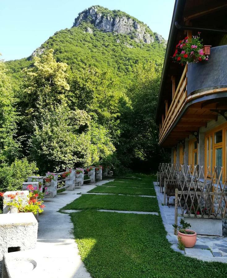 Agriturismo La Selvaggia 曼代洛-德尔拉里奥 外观 照片