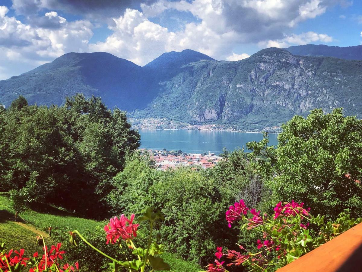 Agriturismo La Selvaggia 曼代洛-德尔拉里奥 外观 照片